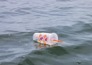 Foodhub Backs New UK Single-Use Plastics Ban