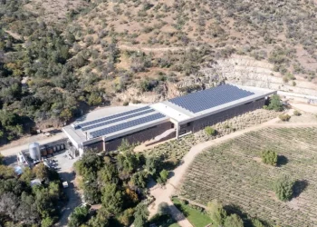 Chilean VSPT Wine Group Announces Promotion in the International Wineries for Climate Action