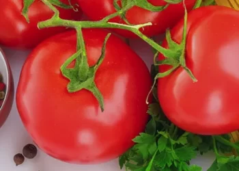 AllergyEats Launches Fully Redesigned App and Website