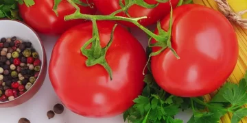 AllergyEats Launches Fully Redesigned App and Website