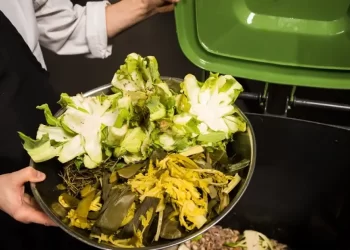 Working to Reduce Food Waste