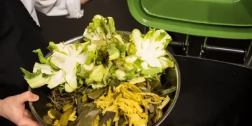 Working to Reduce Food Waste