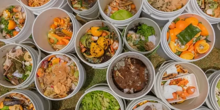 How to Reduce Food Waste in Restaurants – By Veronika Mercier