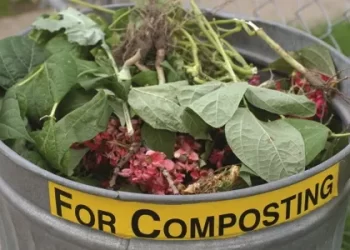 Studying Sustainability? Come to the Annual Sustainability Executive Study Group Meeting