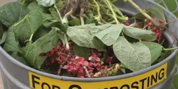 Studying Sustainability? Come to the Annual Sustainability Executive Study Group Meeting