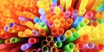 Need Info on Straws and Packaging Mandates? We’ve Got Answers