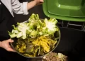 New Food Waste Reduction Program for Restaurants Focuses on Small Changes for Big Impact