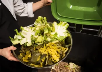 New Food Waste Reduction Program for Restaurants Focuses on Small Changes for Big Impact