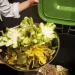 New Food Waste Reduction Program for Restaurants Focuses on Small Changes for Big Impact