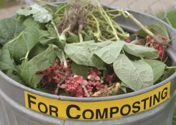 Food Chains to Explain How They Reduced Their Waste