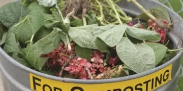 Food Chains to Explain How They Reduced Their Waste