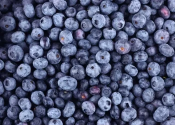 AI Technology Helps IHG Hotels Track, Measure and Reduce Food Waste