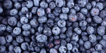 AI Technology Helps IHG Hotels Track, Measure and Reduce Food Waste