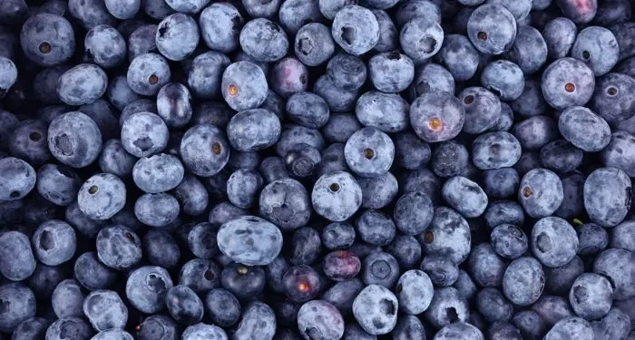 AI Technology Helps IHG Hotels Track, Measure and Reduce Food Waste