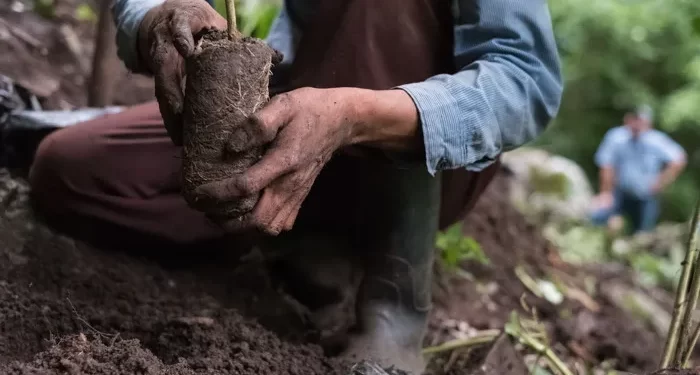 Starbucks Completes Issuance of Third and Largest Sustainability Bond