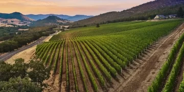 Irvine & Roberts Vineyards in Ashland, Oregon for Sale at $8.995M
