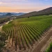 Irvine & Roberts Vineyards in Ashland, Oregon for Sale at $8.995M