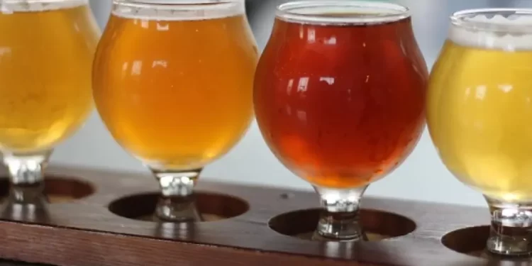 Sustainability, Health and Variety Top List of 2025 Macro Trends