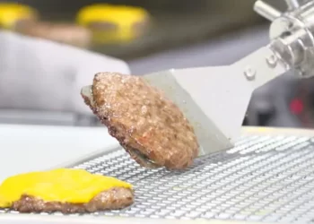 Miso Robotics Enhances Miso AI Platform to Include Frying Skills