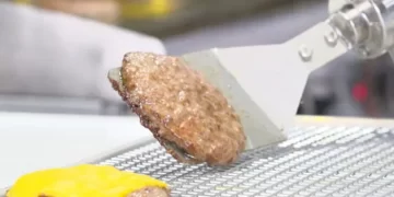 Miso Robotics Enhances Miso AI Platform to Include Frying Skills