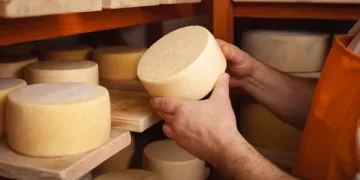 No Relief for Restaurateurs: Food Costs Still on Rise